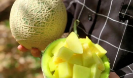 娱乐圈还有什么瓜可以吃,揭秘明星幕后故事与精彩瞬间